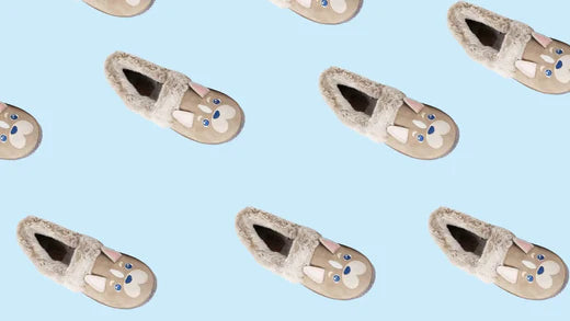 Dog Slippers: The Cosiest Choice For You