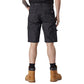 Dickies Everyday Shorts ED24/7SH